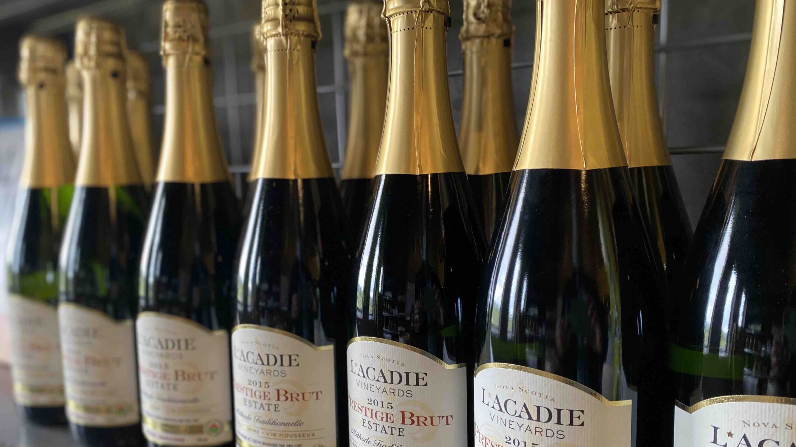 L'Acadie champagne on shelves seen during a Nova Scotia wine tour